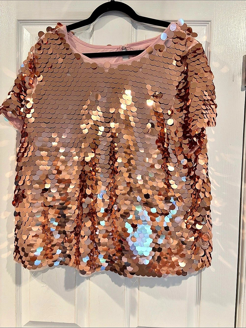 Eva Franco Sequin Tee Sequin Short Sleeve Top in Pink XL